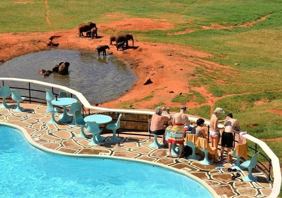 Kenpal safari guide in Kenya